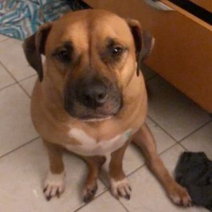 Meet your Posher, Lourdes